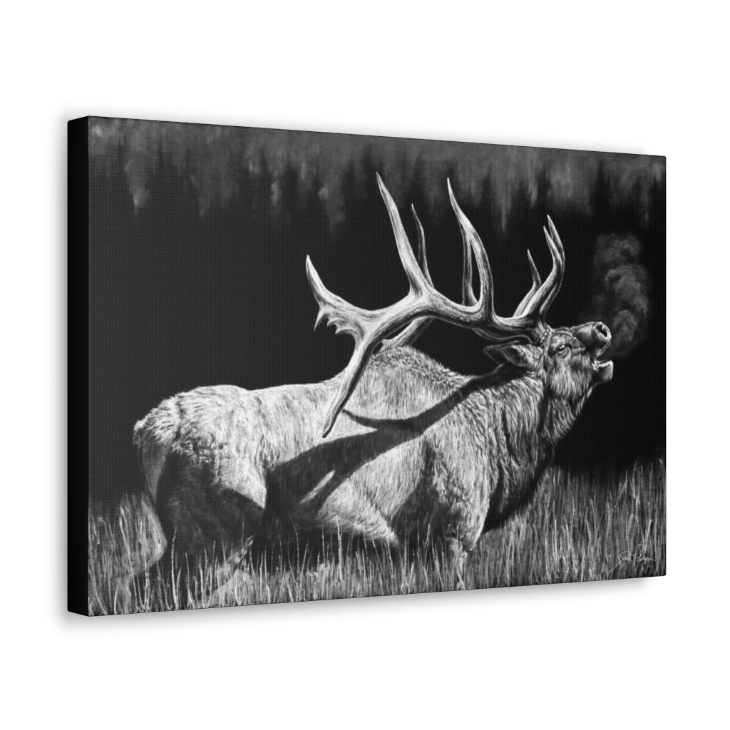 "Firebull" Gallery Wrapped Canvas