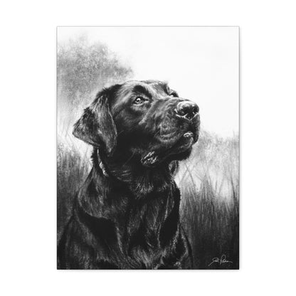 "Labrador Retriever" Gallery Wrapped Canvas