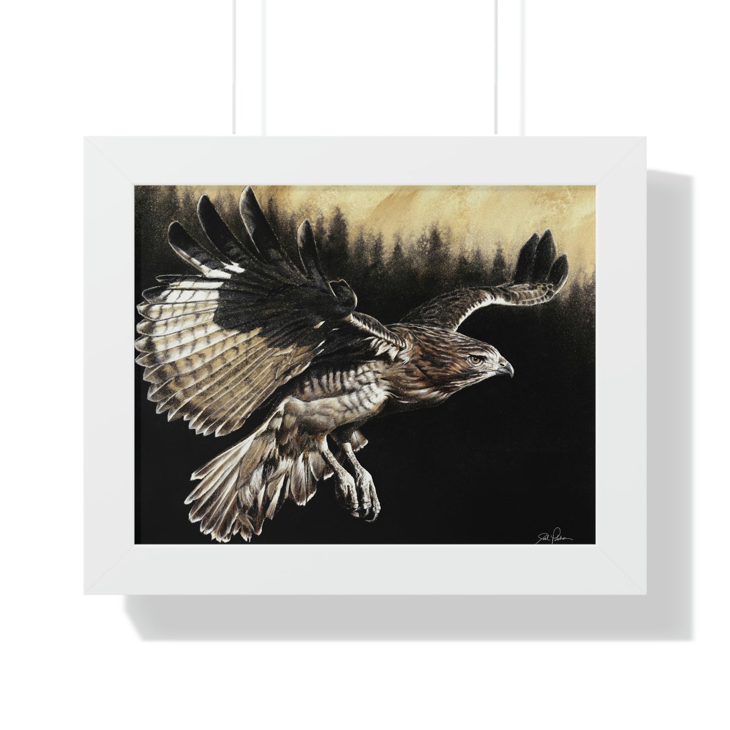 "Red Tailed Hawk" Framed Paper Print