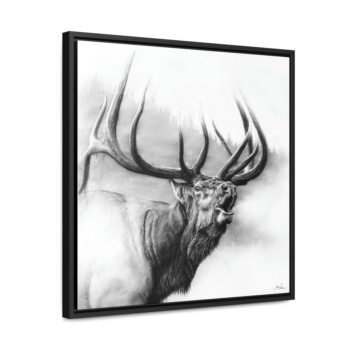 "Rocky Mountain King" Gallery Wrapped/Framed Canvas