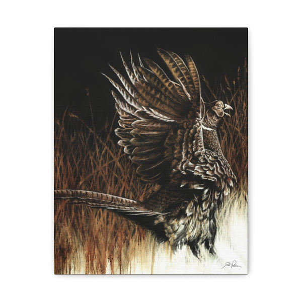 "Call of the Uplands Pheasant" Gallery Wrapped Canvas