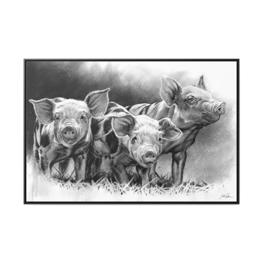 "Pig Tales" Gallery Wrapped/Framed Canvas