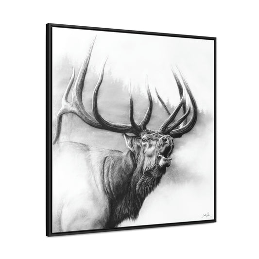 "Rocky Mountain King" Gallery Wrapped/Framed Canvas