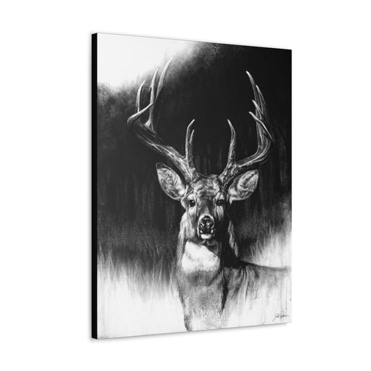 "Whitetail" Gallery Wrapped Canvas