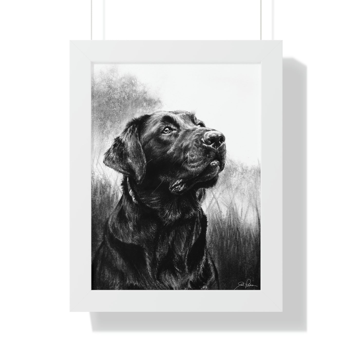 "Labrador" Framed Paper Print