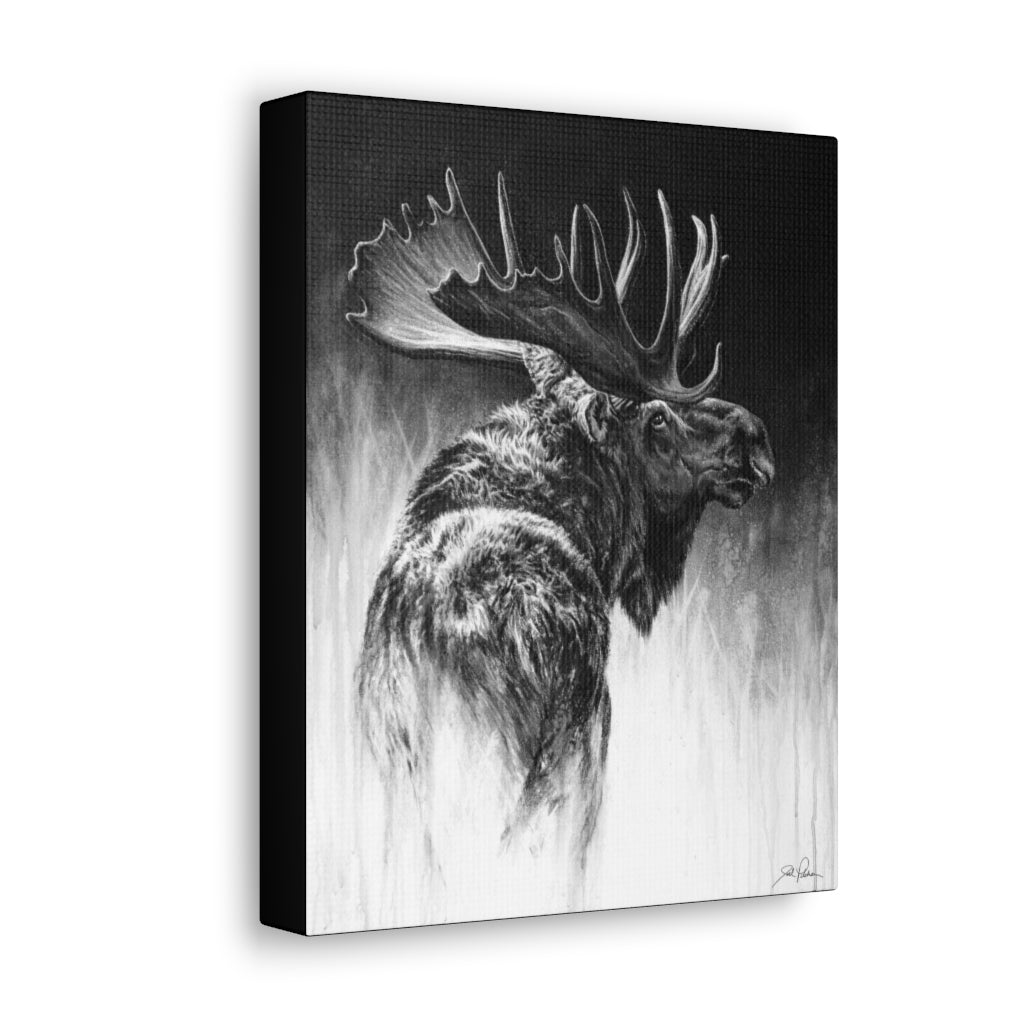 "Bull Moose" Gallery Wrapped Canvas