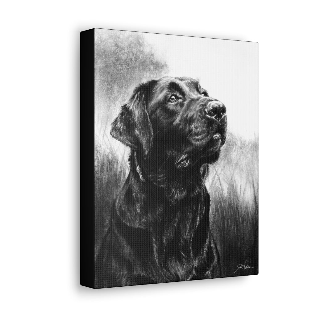 "Labrador Retriever" Gallery Wrapped Canvas