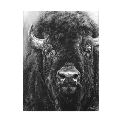 "Tatanka" Gallery Wrapped Canvas