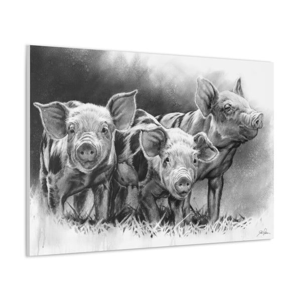 "Pig Tales" Gallery Wrapped Canvas