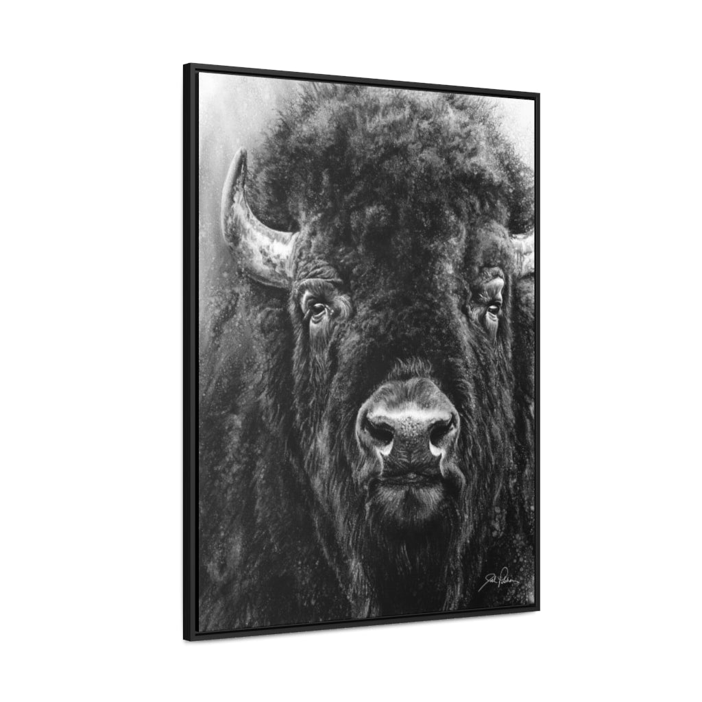 "Tatanka" Gallery Wrapped/Framed Canvas