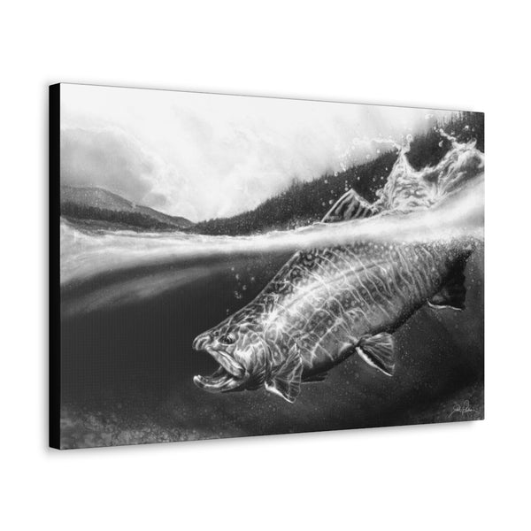 "Brook Trout" Gallery Wrapped Canvas