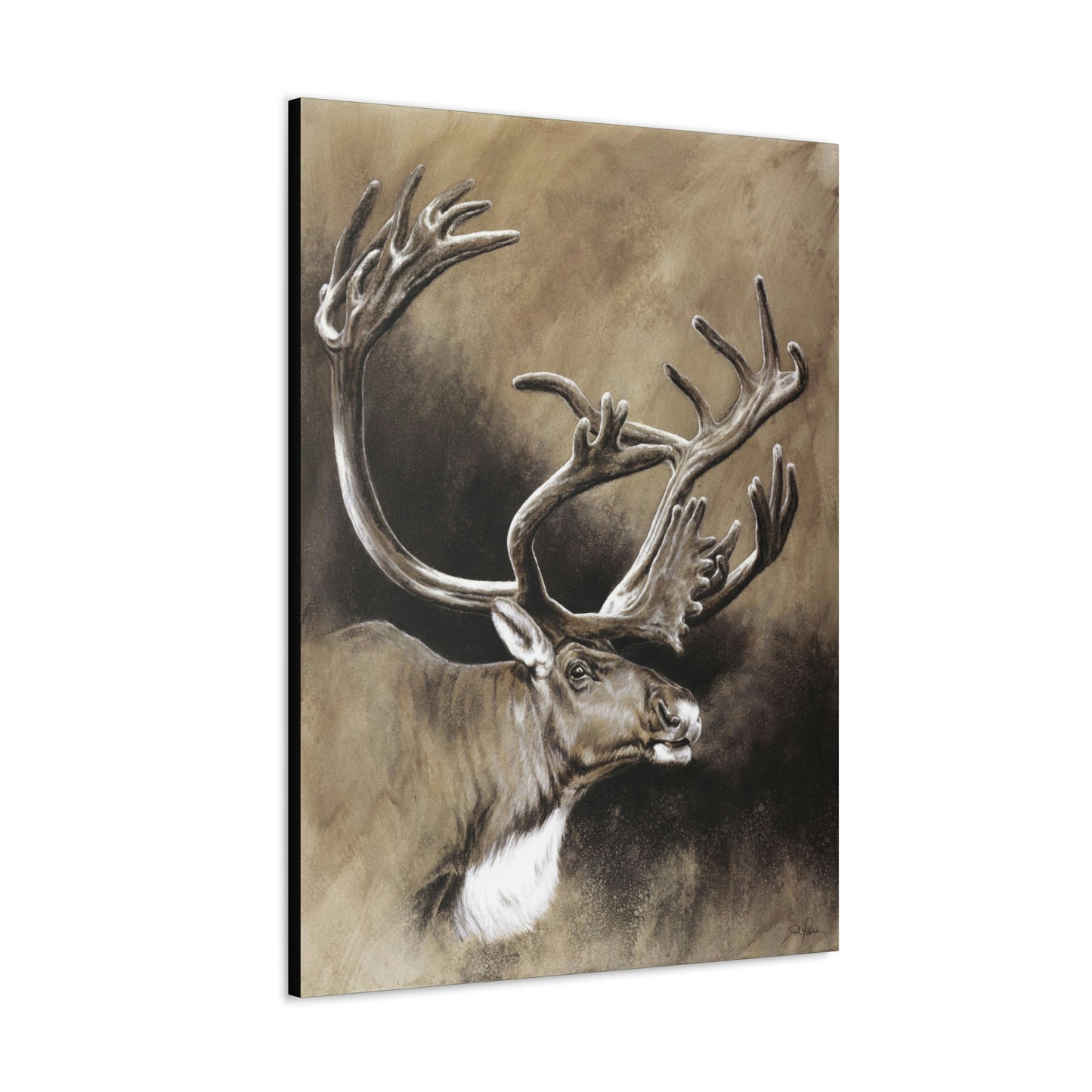 "Caribou" Gallery Wrapped Canvas