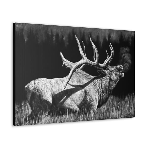 "Firebull" Gallery Wrapped Canvas