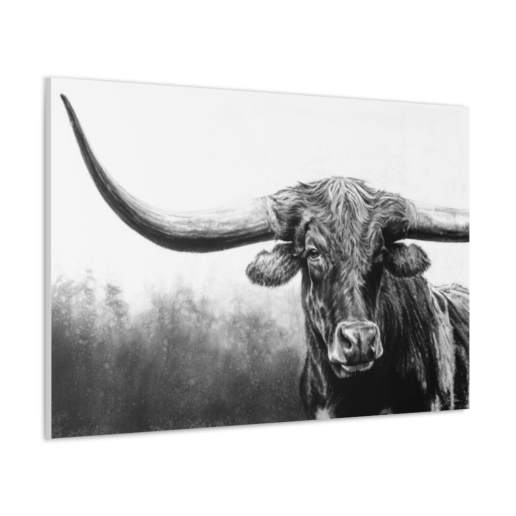 "Longhorn" Gallery Wrapped Canvas