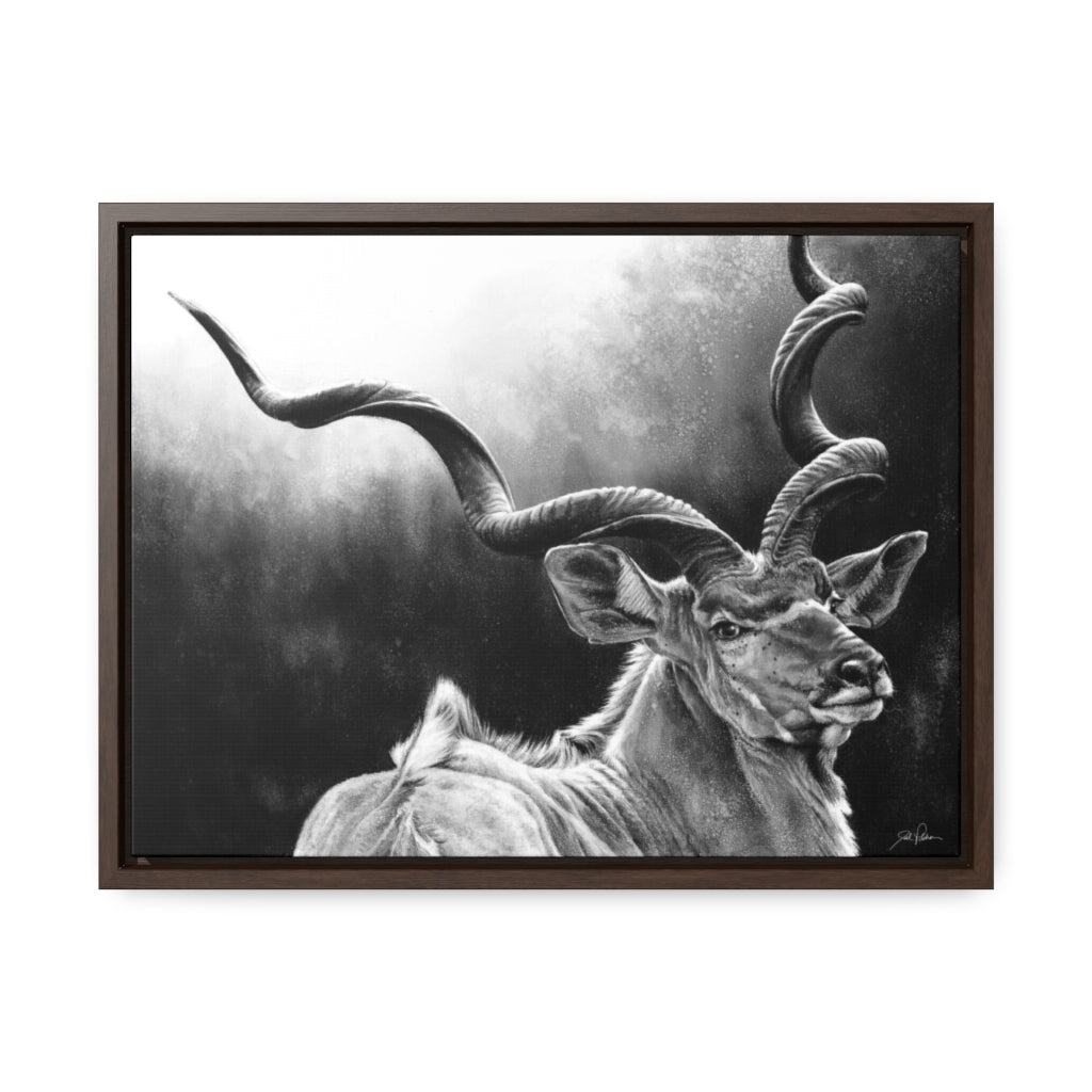 "Kudu" Gallery Wrapped/Framed Canvas