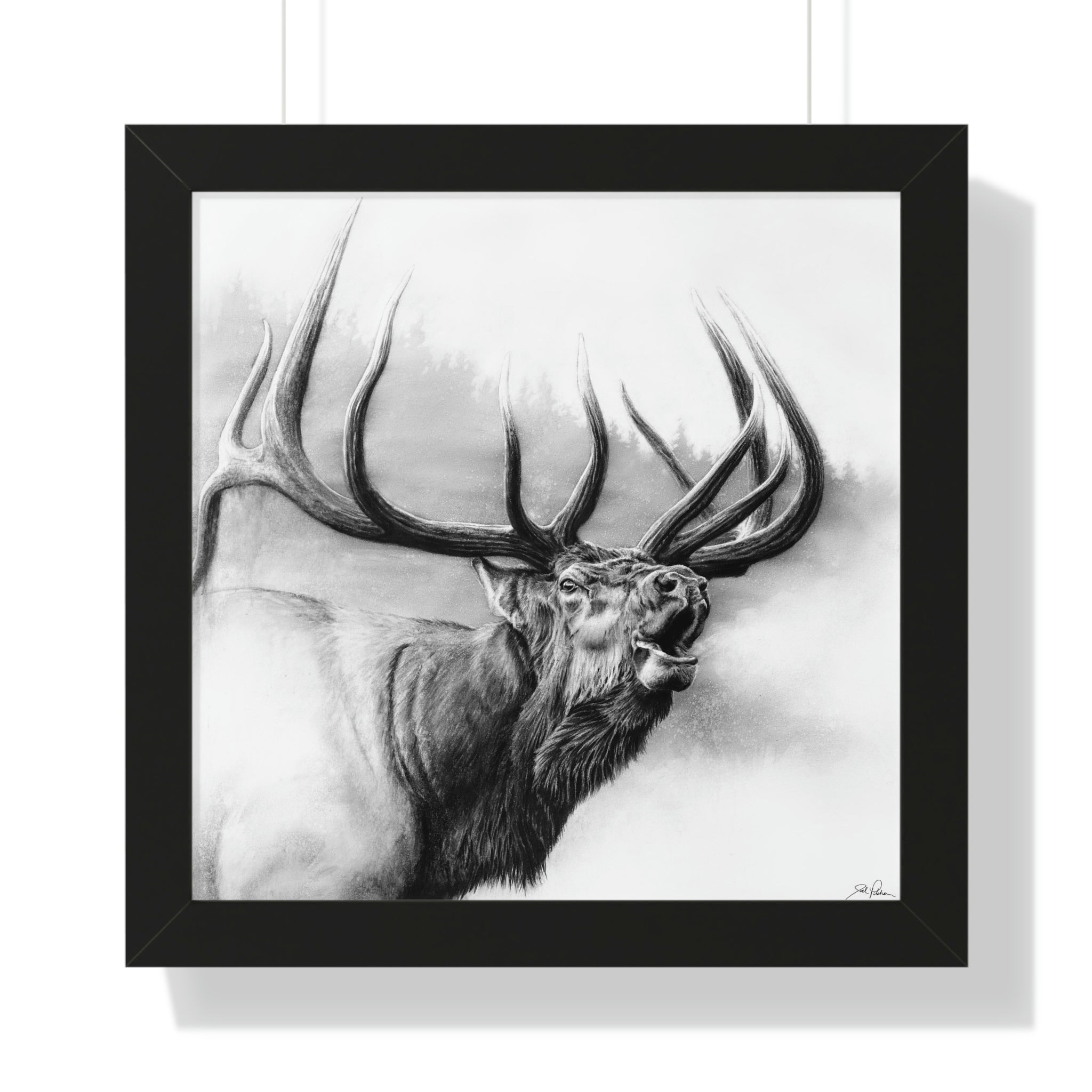 "Rocky Mountain King" Framed Paper Print