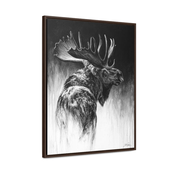 "Bull Moose" Gallery Wrapped/Framed Canvas