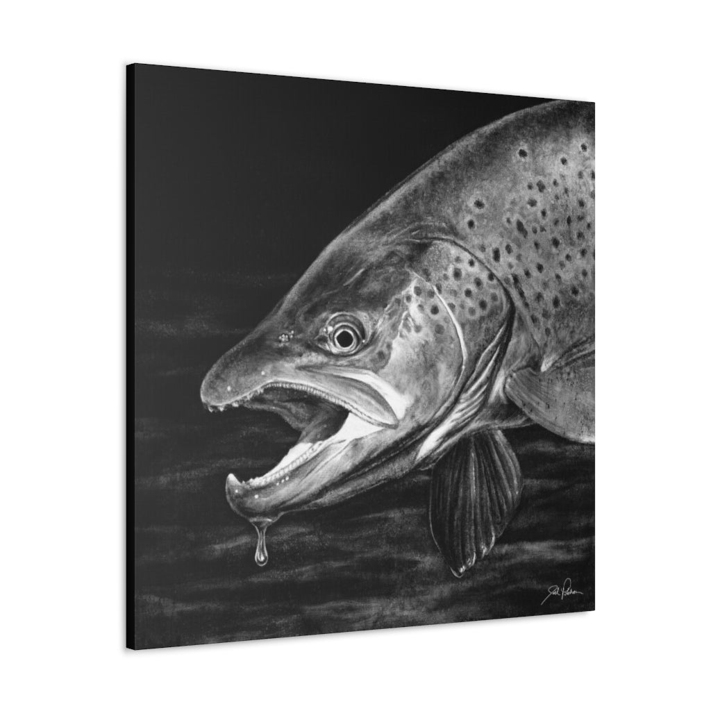 "Brown Trout" Gallery Wrapped Canvas