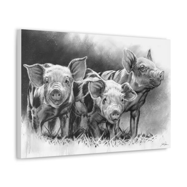 "Pig Tales" Gallery Wrapped Canvas