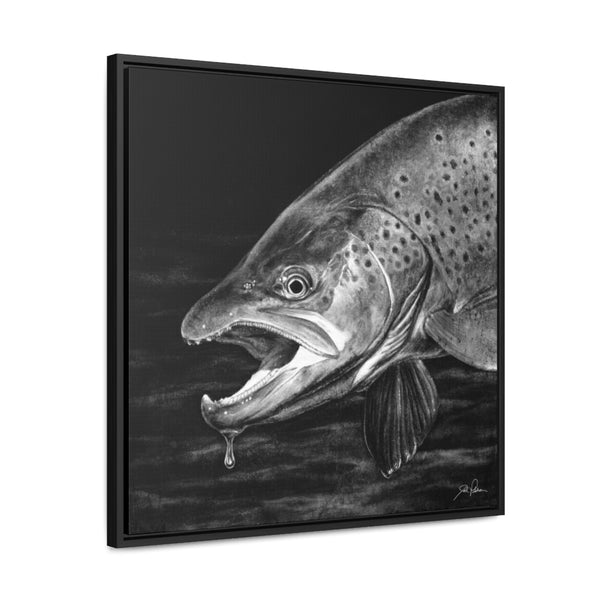 "Brown Trout" Gallery Wrapped/Framed Canvas
