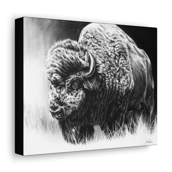 "Bull Dozer" Gallery Wrapped Canvas