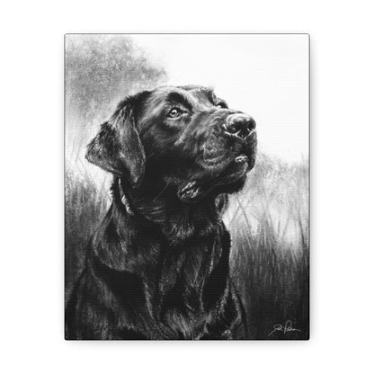 "Labrador Retriever" Gallery Wrapped Canvas