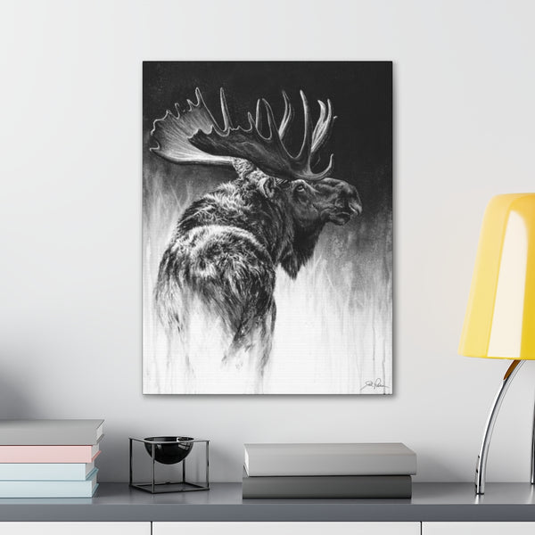"Bull Moose" Gallery Wrapped Canvas