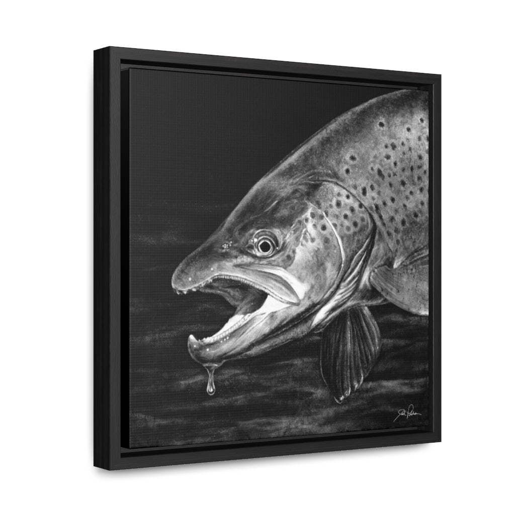 "Brown Trout" Gallery Wrapped/Framed Canvas