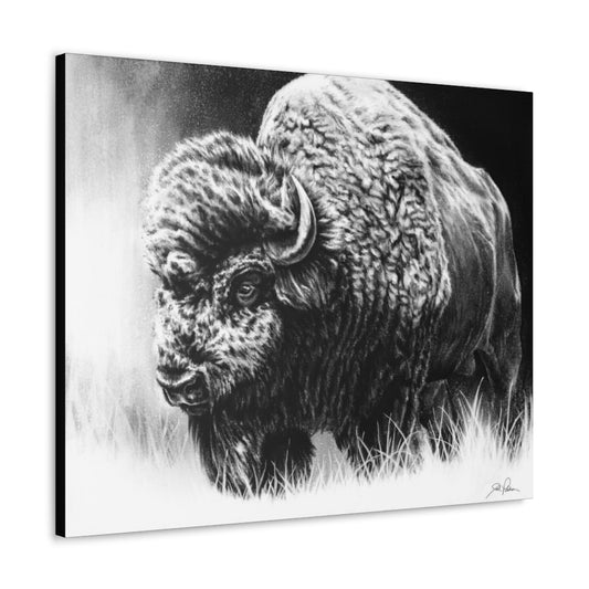 "Bull Dozer" Gallery Wrapped Canvas