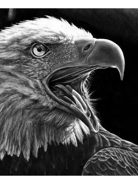 "American Eagle" Print