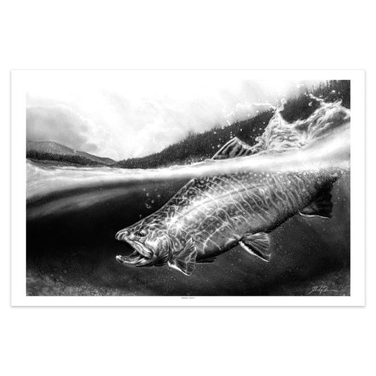 "Brook Trout" Print