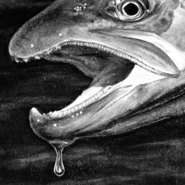 "Brown Trout" Print