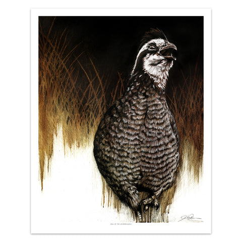 "Call of the Uplands Quail" Print