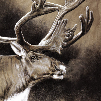 "Caribou" Print