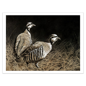 "Chukars" Print