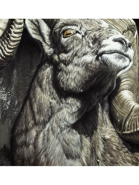 "Golden Eye" Print