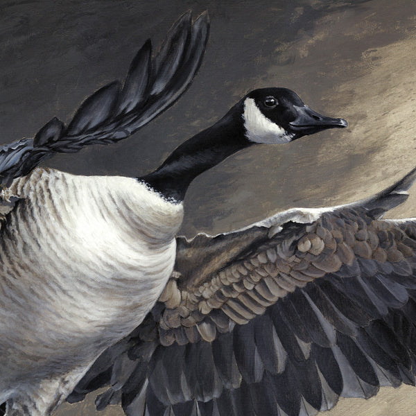 "Homeward Bound" Print