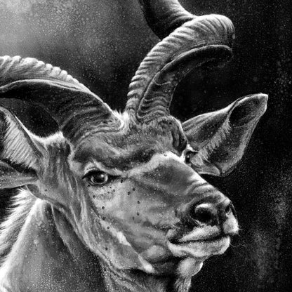 "Kudu" Print