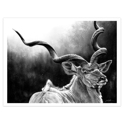 "Kudu" Print