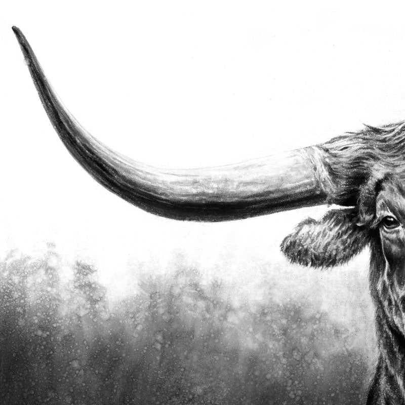 "Longhorn" Print