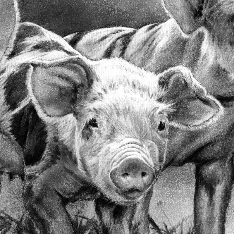 "Pig Tales" Print