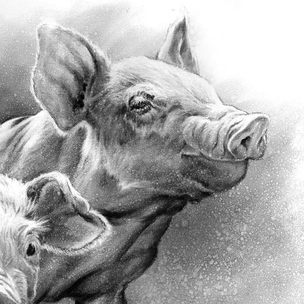 "Pig Tales" Print