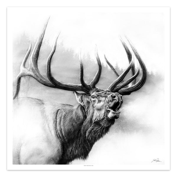 "Rocky Mountain King" Print