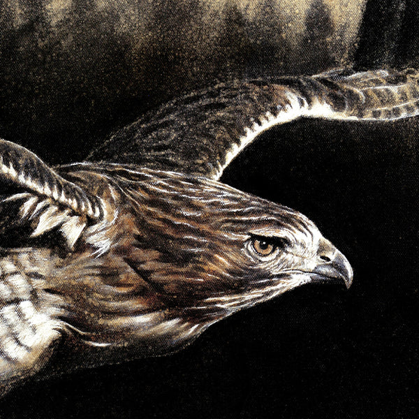 "Red Tailed Hawk" Print
