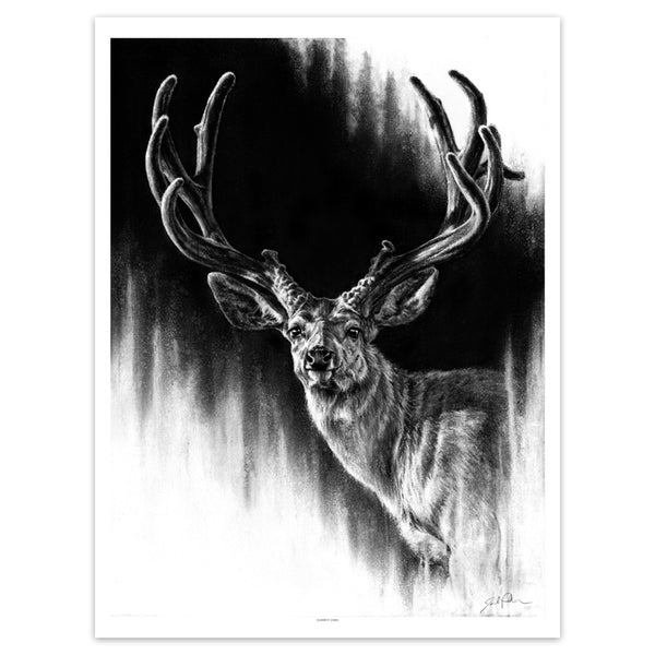 "Summer Swag" Print
