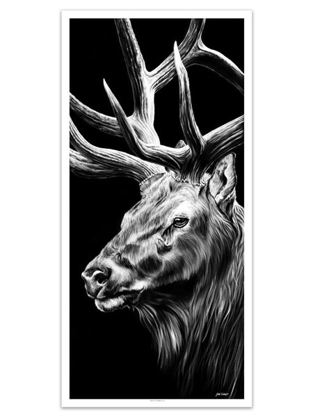 "Triple Crown Elk" Print