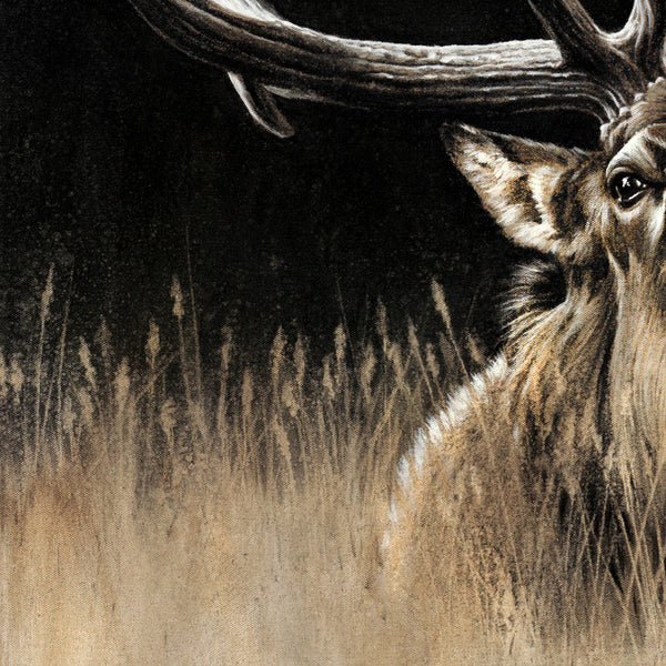 "Wake Up Call" Print
