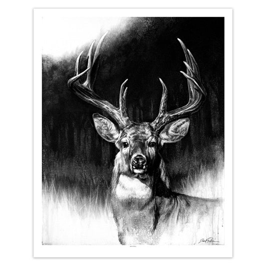 "Whitetail" Print