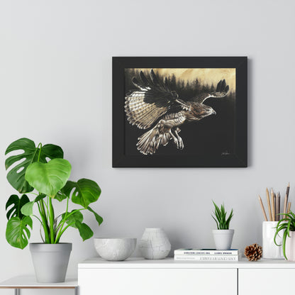 "Red Tailed Hawk" Framed Paper Print