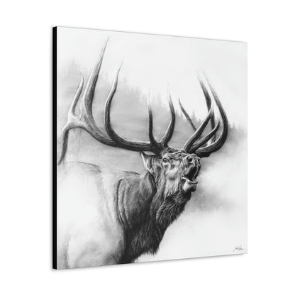 "Rocky Mountain King" Gallery Wrapped Canvas